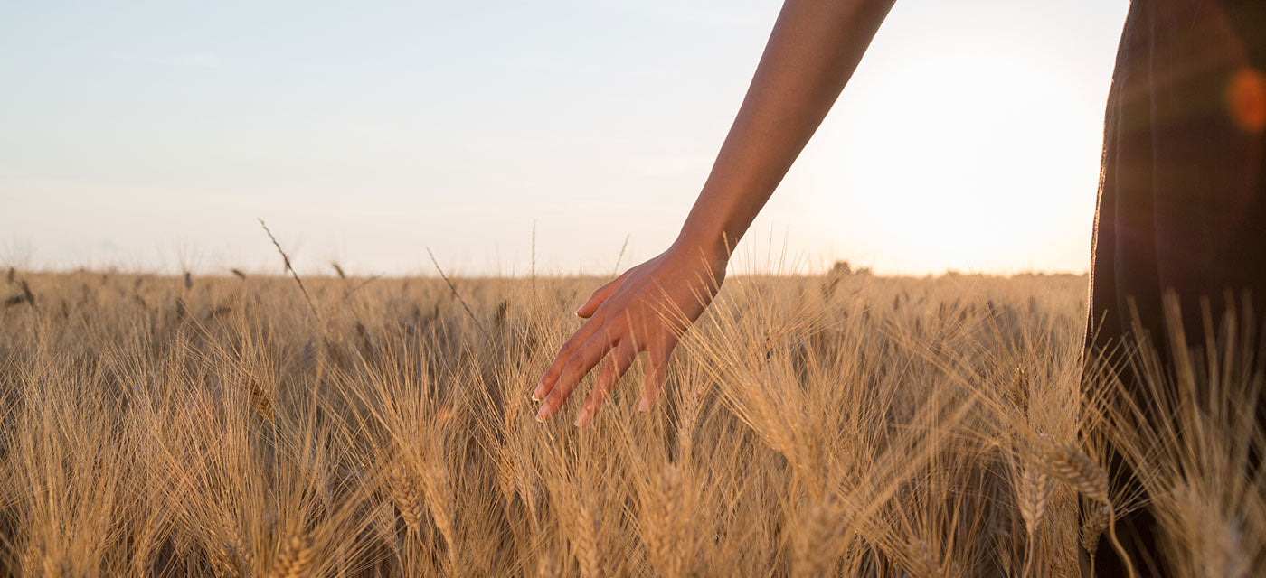 Quannessence’s collection includes iconic products offering treatment solutions sourced from nature’s best. This is Q's holistic approach to skincare. Proud to be a local Canadian beauty brand.