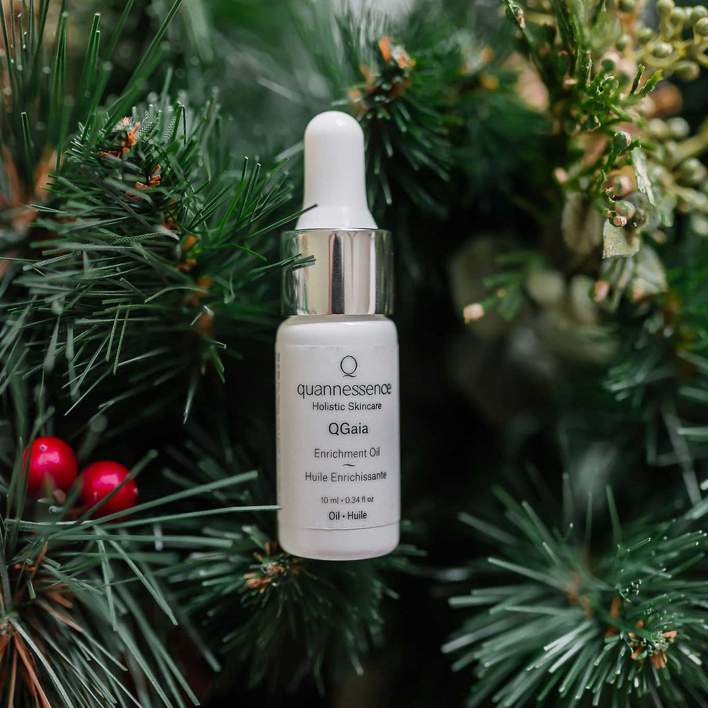 A white bottle with a dropper containing QGaia Facial Enrichment Oil, placed among green pine branches and red berries.