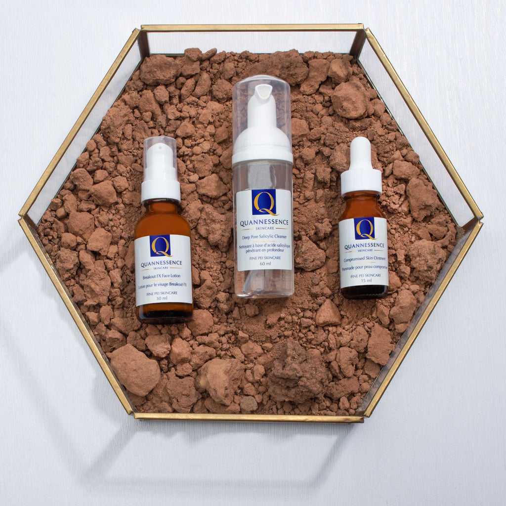 Quannessence, natural beauty, made in Canada, skincare, holistic approach, blemish treatment, Compromised Skin Kit, Compromised Skin Ointment, Breakout FX, DEEP PORE SALICYLIC CLEANSER, face, lotion
