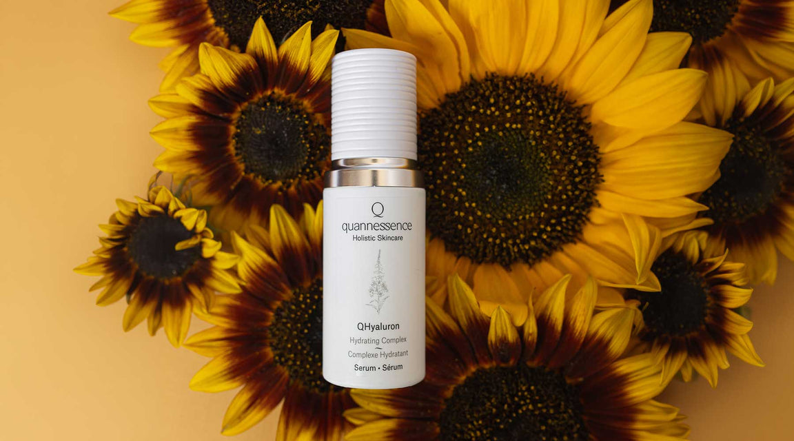QHyaluron Hydrating Complex by Quannessence, Quannessence QHyaluron serum bottle on sunflower background. Quannessence Skincare, professional skincare, Holistic Beauty, Made in Canada, Naturally Sourced, Active ingredients, women-owned, Face, Serum, QHYaluron, Hyaluronic (PUR) Hydrating Serum, white glass packaging with white lid & pump