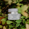 Quannessence skincare product jar among green leaves. Quannessence Skincare, professional skincare, Holistic Beauty, Made in Canada, Naturally Sourced, Active ingredients, women-owned, Face, Moisturizer, Lotion, Cream, QAlchemy, Alchemist Revitalizing Cream, white jar