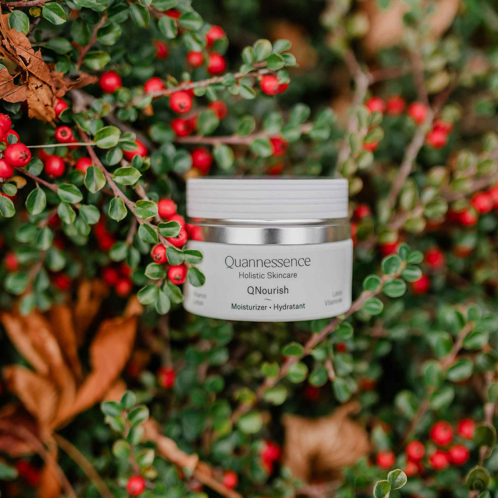 Quannessence skincare jar with red berries and green leaves in the background. Quannessence Skincare, professional skincare, Holistic Beauty, Made in Canada, Naturally Sourced, Active ingredients, women-owned, Face, Moisturizer, Lotion, Cream, QNourish, uniQue encapsulated Vitamin Lotion, white jar, hand with cream