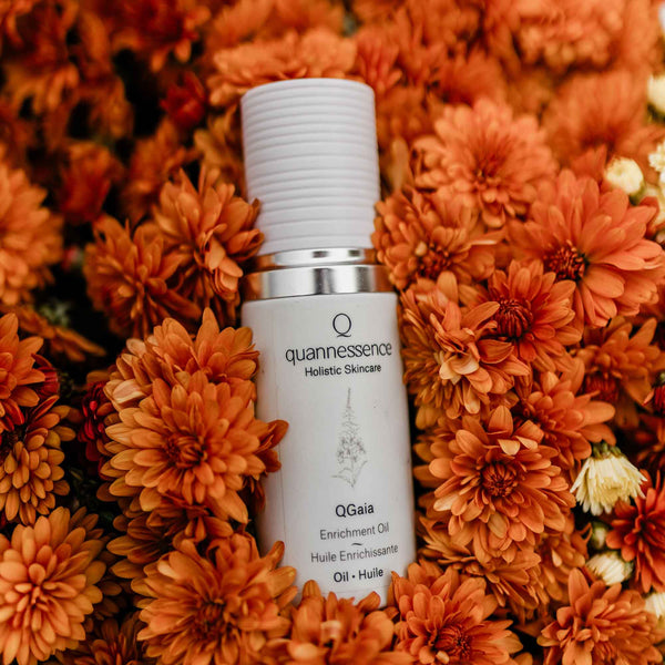 Skincare bottle labeled 'quannessence' on a bed of orange flowers. Quannessence Skincare, professional skincare, Holistic Beauty, Made in Canada, Naturally Sourced, Active ingredients, women-owned, Face, Oil, All Natural, QGaia, Gaia Facial Enrichment Oil, white glass packaging with white lid & pump