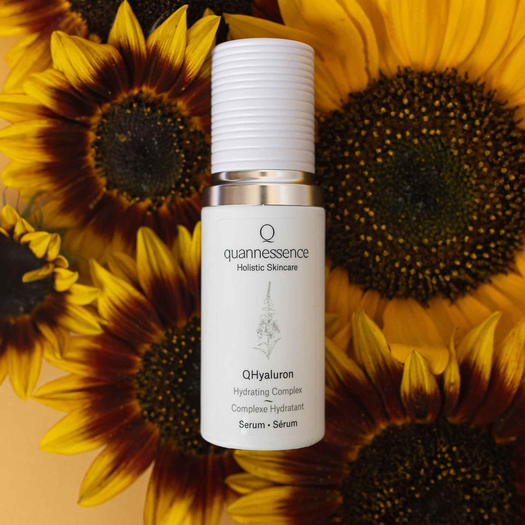 Quannessence QHyaluron serum bottle on sunflower background. Quannessence Skincare, professional skincare, Holistic Beauty, Made in Canada, Naturally Sourced, Active ingredients, women-owned, Face, Serum, QHYaluron, Hyaluronic (PUR) Hydrating Serum, white glass packaging with white lid & pump